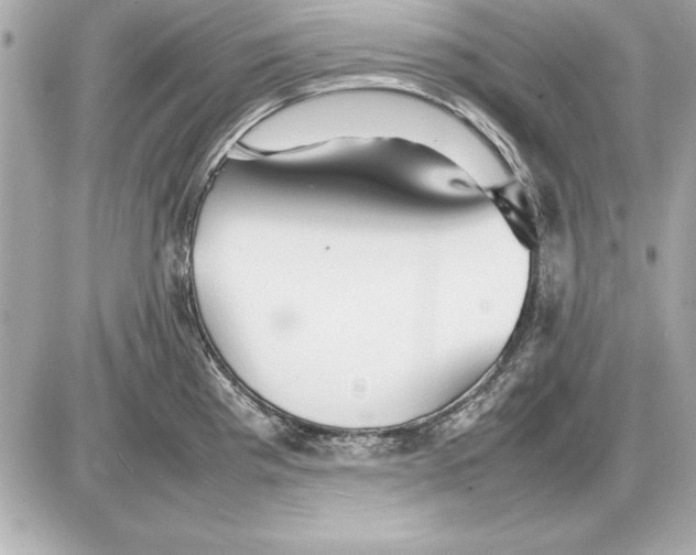 X0000085831193200704091650