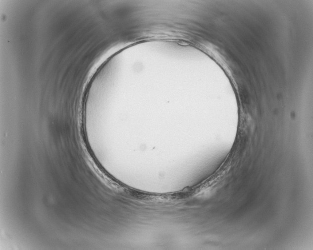 X0000085831195200704091650