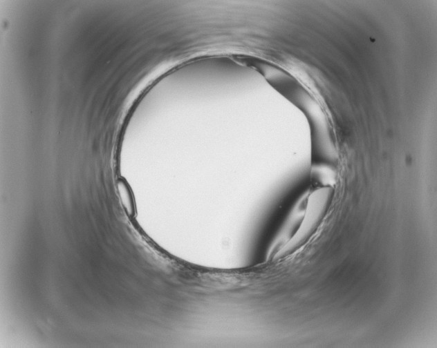 X0000085831197200704091650