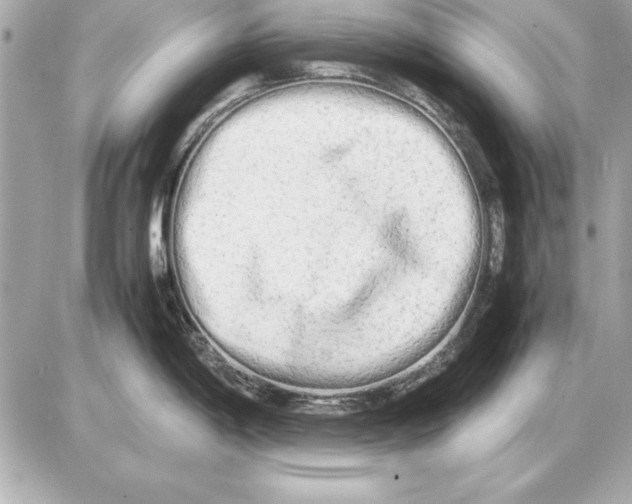 X0000085831198200704091650