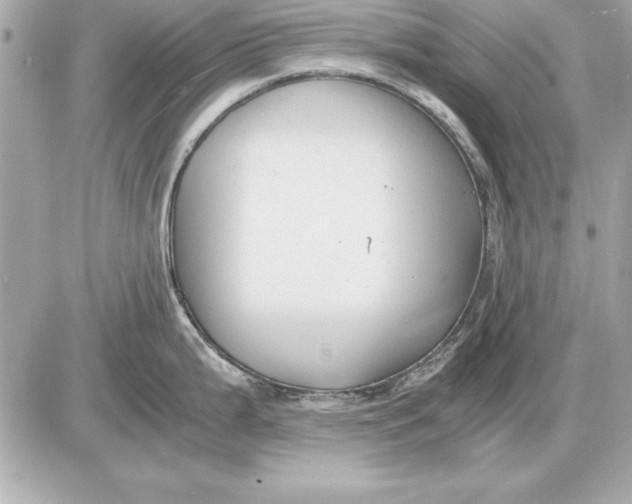 X0000085831199200704091650