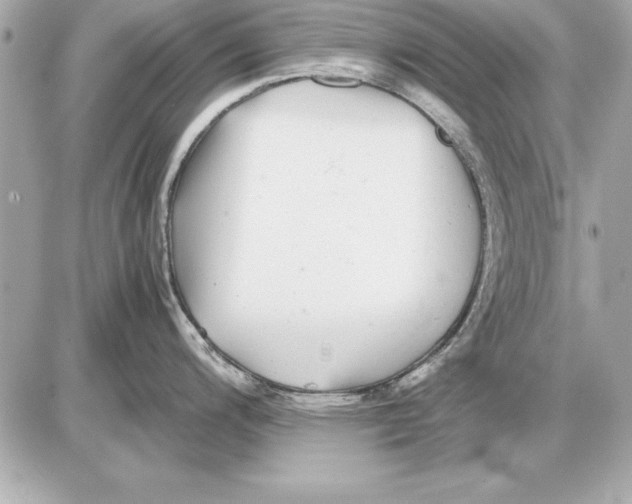 X0000085831200200704091650