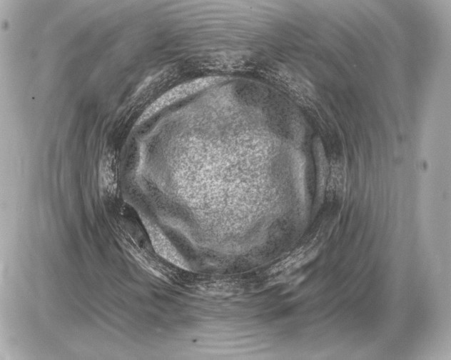 X0000085831202200704091649