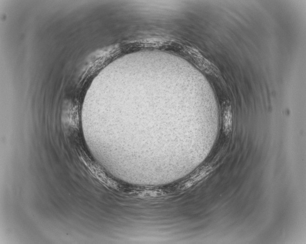 X0000085831204200704091649