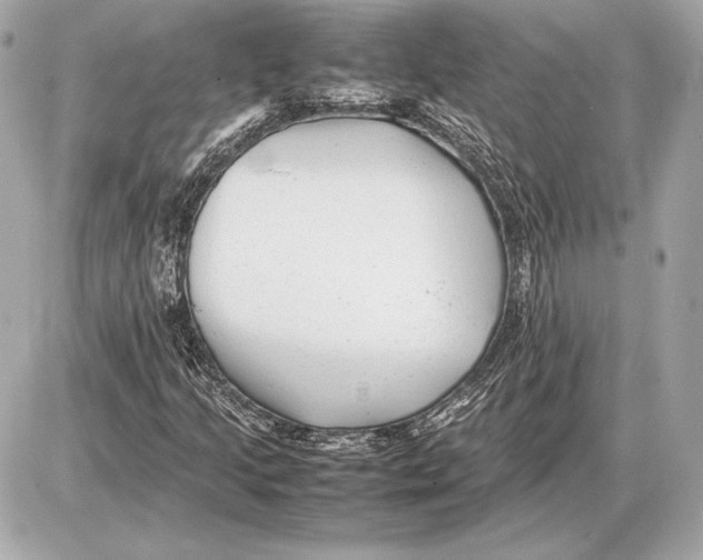 X0000085831205200704091649