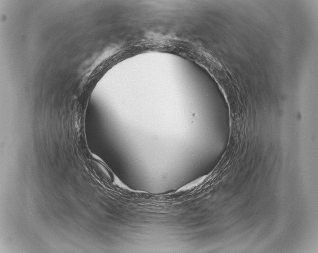 X0000085831206200704091649