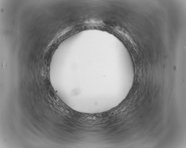 X0000085831207200704091649