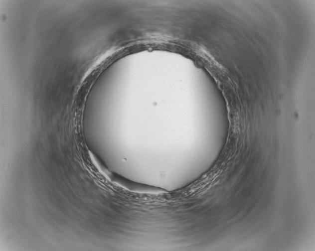 X0000085831208200704091649