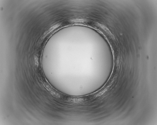 X0000085831209200704091649