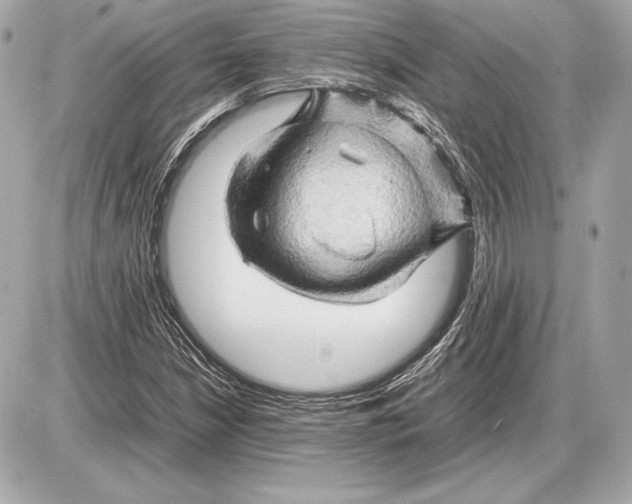 X0000085831210200704091649