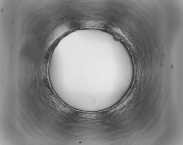 X0000085831211200704091649