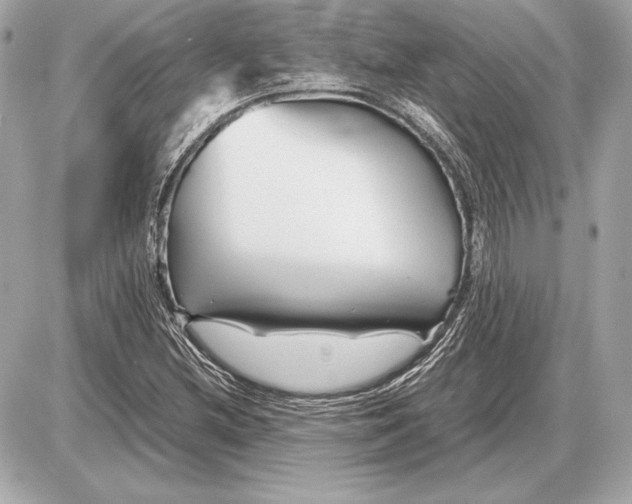 X0000085831212200704091649