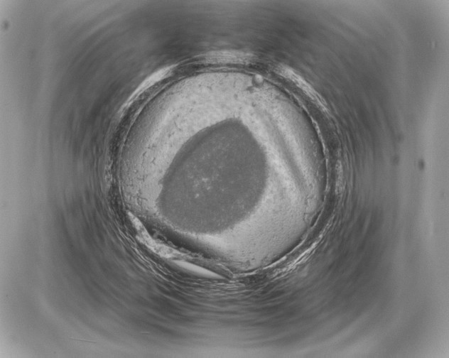 X0000085831213200704091649