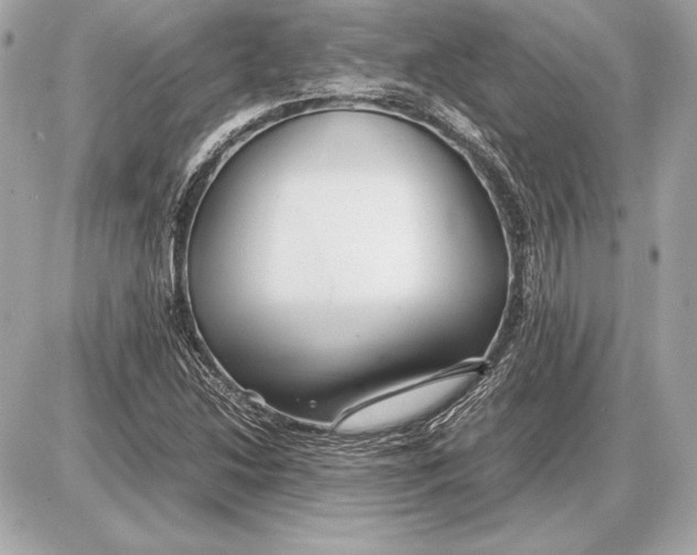 X0000085831214200704091649