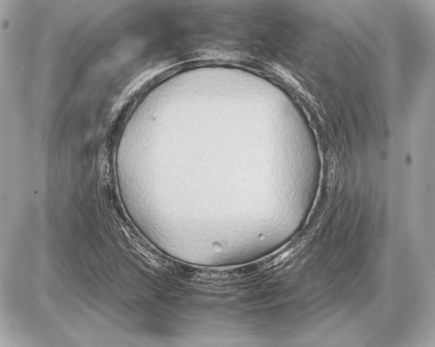 X0000085831215200704091649