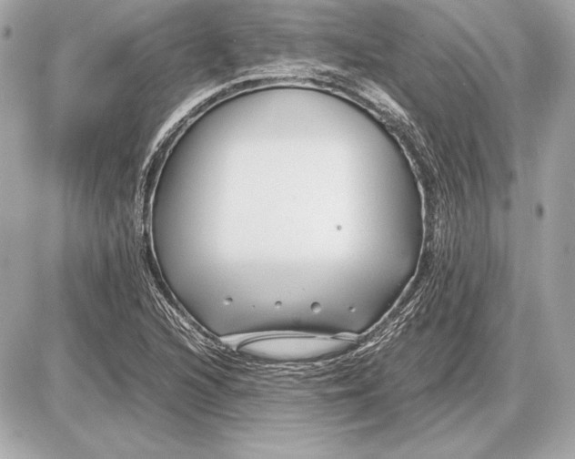 X0000085831216200704091649