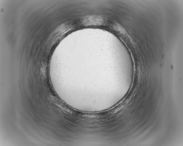 X0000085831217200704091649