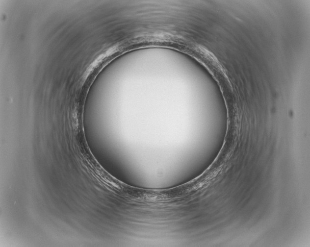 X0000085831218200704091649