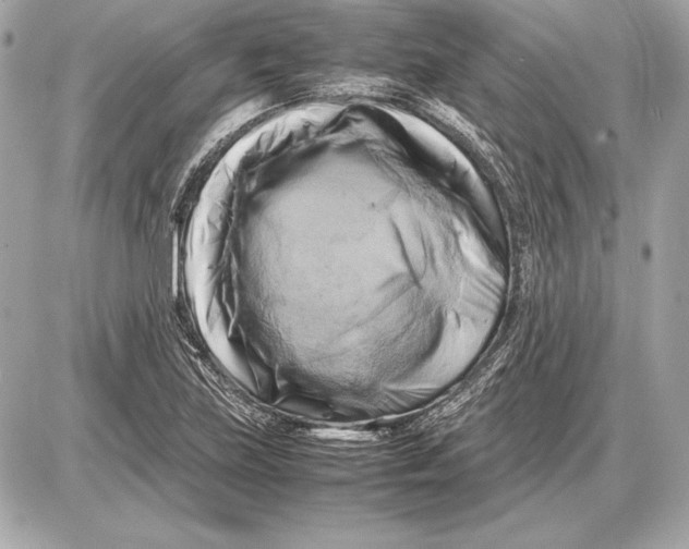 X0000085831219200704091649