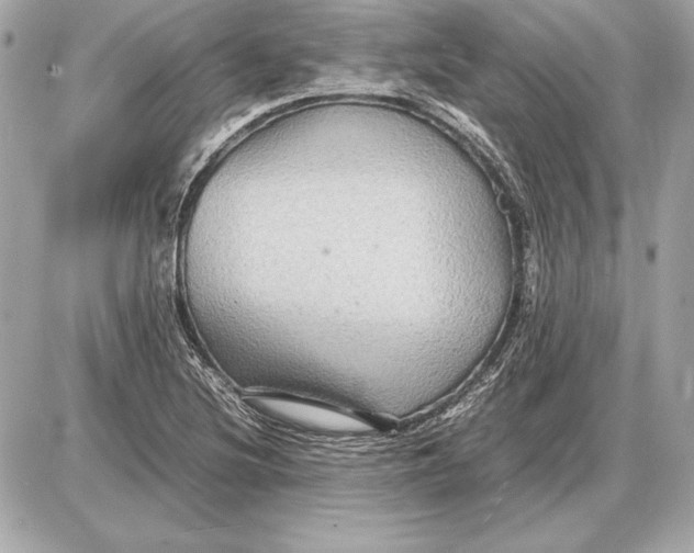 X0000085831220200704091649