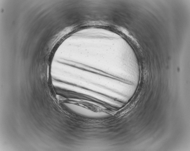 X0000085831221200704091649