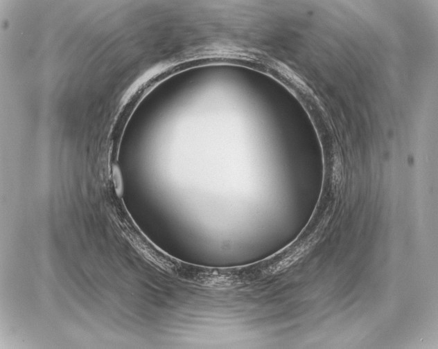 X0000085831222200704091649