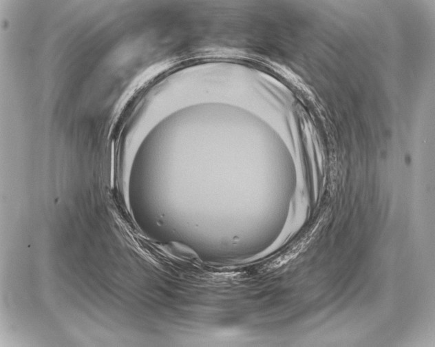 X0000085831223200704091649