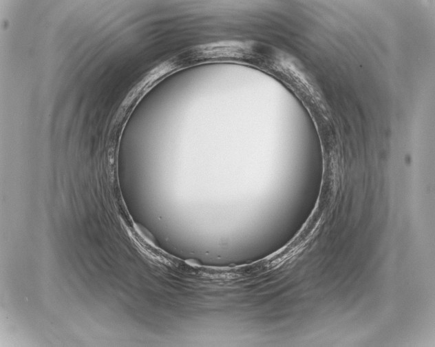 X0000085831225200704091649