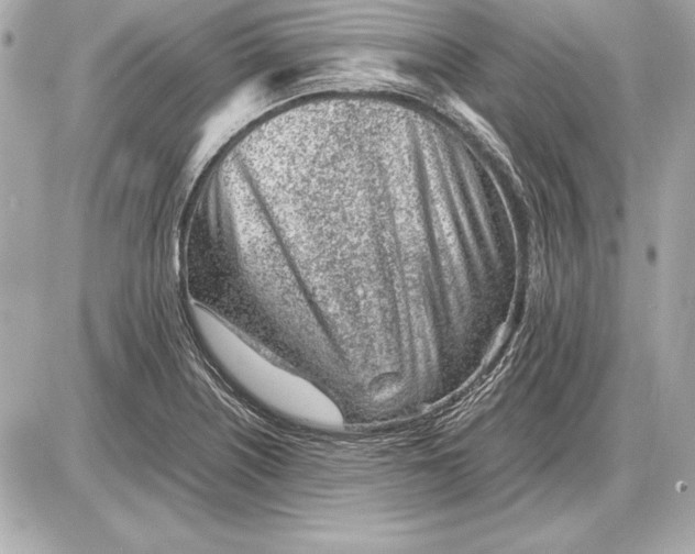 X0000085831226200704091649