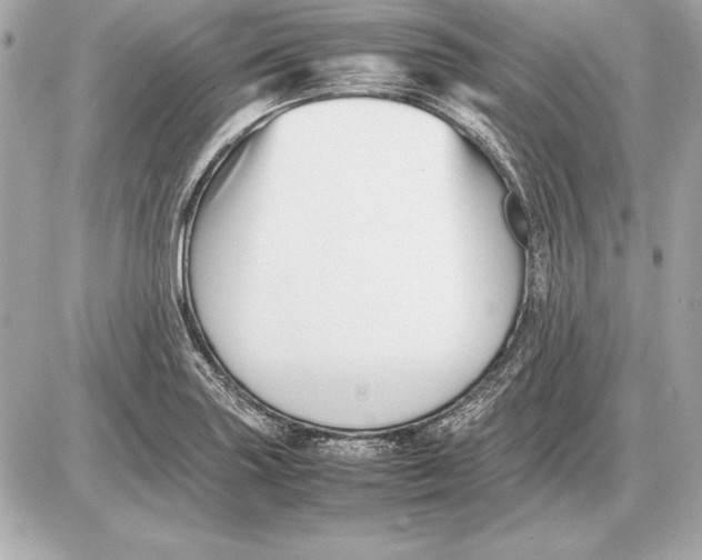 X0000085831227200704091649