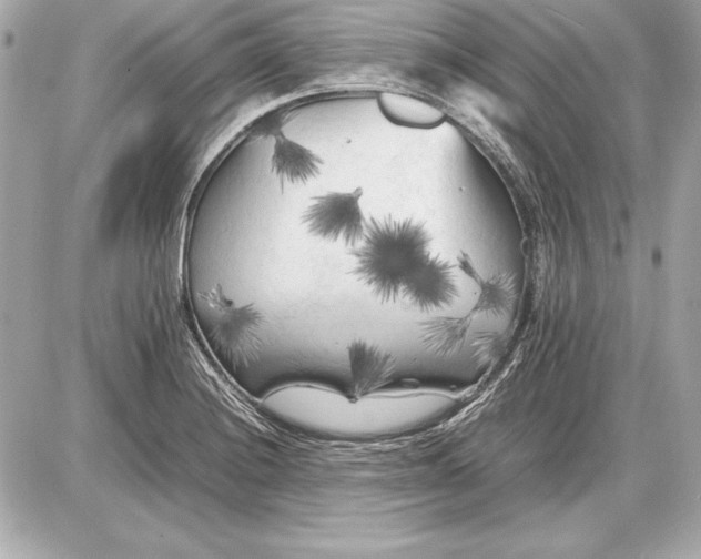 X0000085831228200704091649