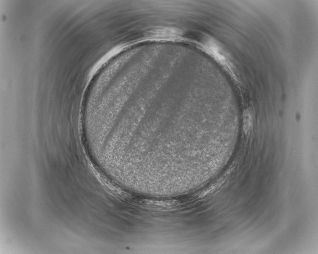 X0000085831229200704091649