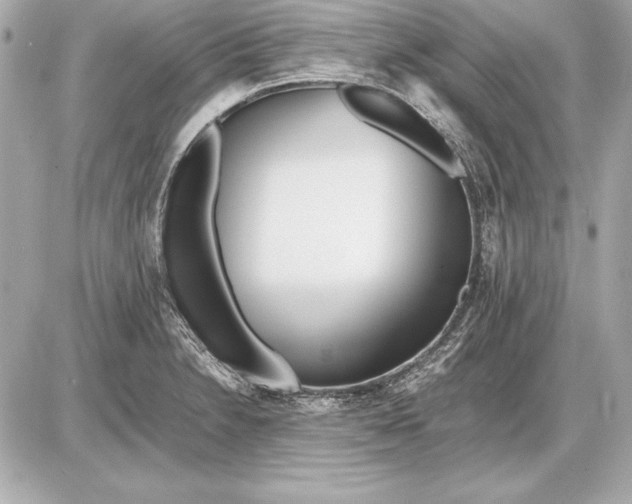 X0000085831230200704091649