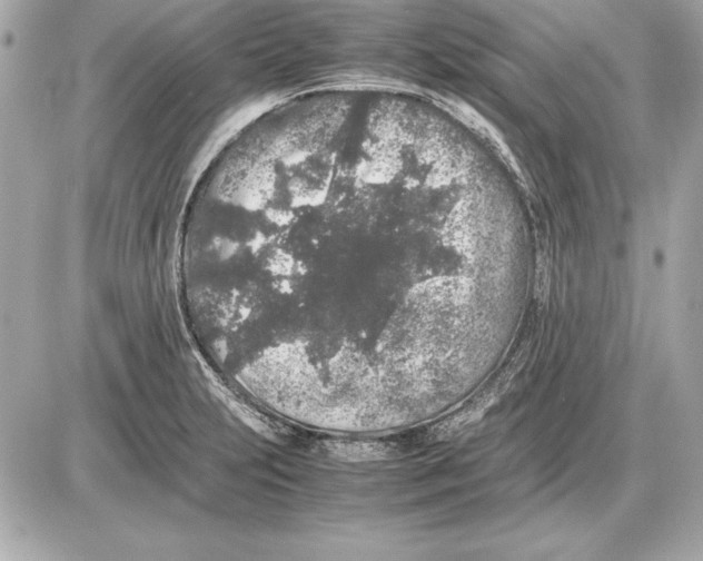 X0000085831231200704091649