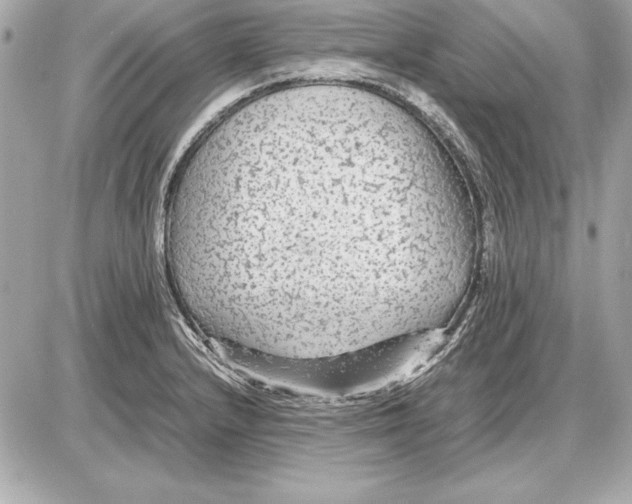 X0000085831232200704091649