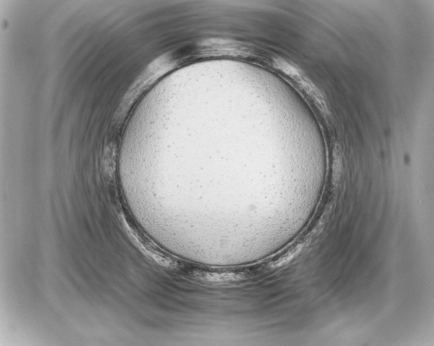 X0000085831233200704091649