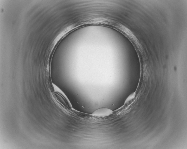 X0000085831234200704091649