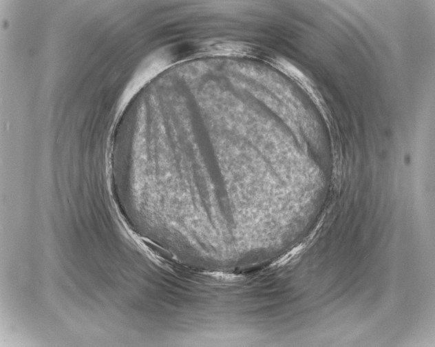 X0000085831235200704091649