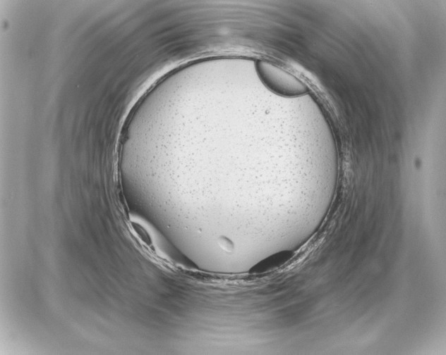 X0000085831236200704091649