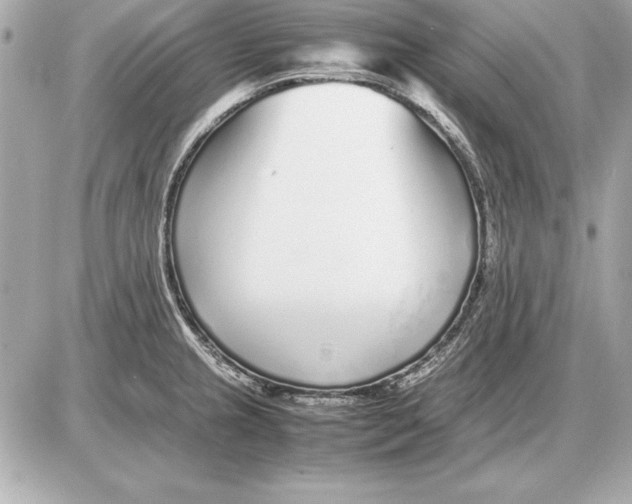 X0000085831237200704091649