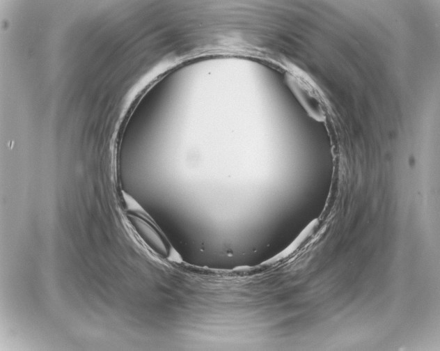 X0000085831238200704091649