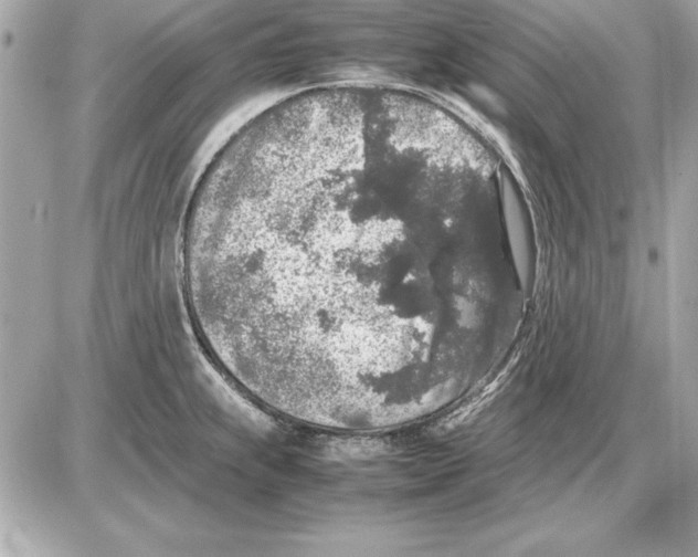 X0000085831239200704091649