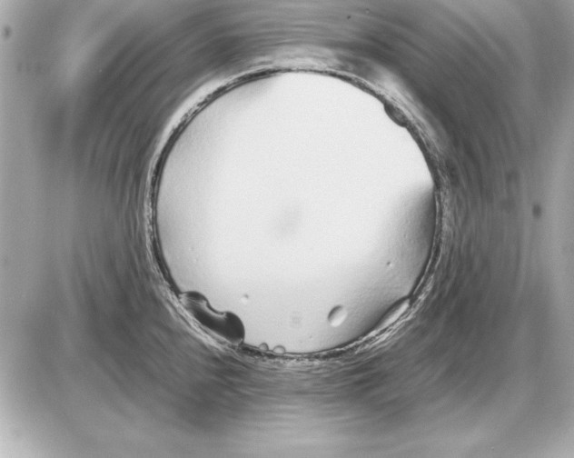 X0000085831240200704091650