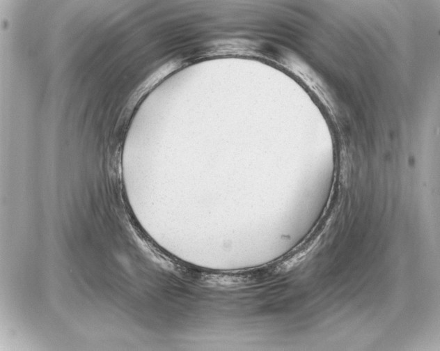 X0000085831241200704091650