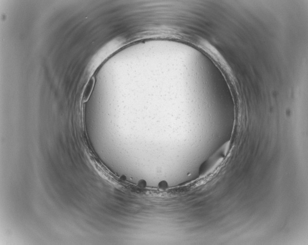 X0000085831242200704091650