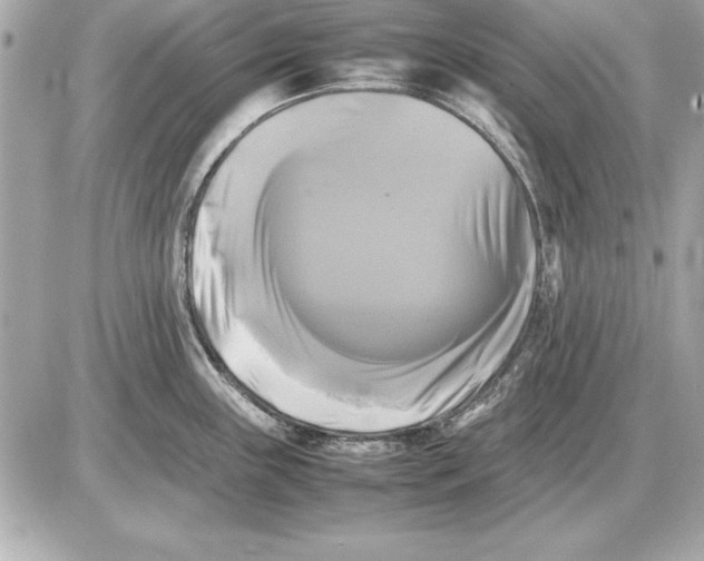 X0000085831243200704091650