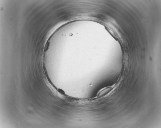 X0000085831244200704091650