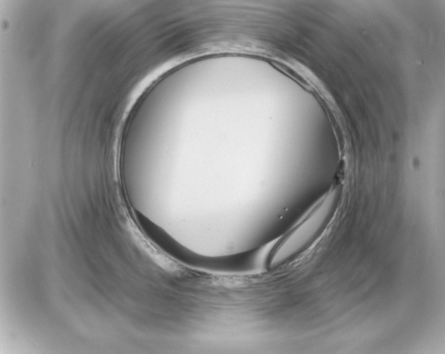 X0000085831246200704091650