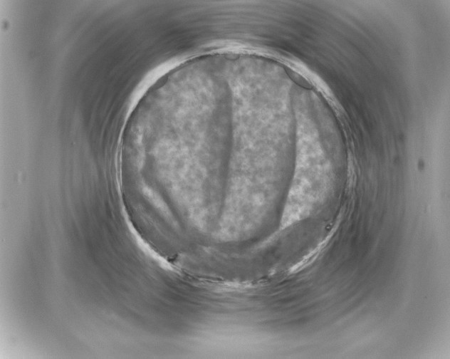 X0000085831247200704091650