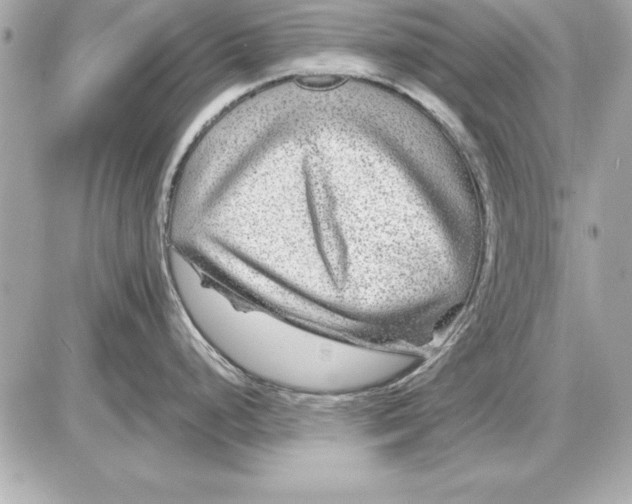 X0000085831248200704091650